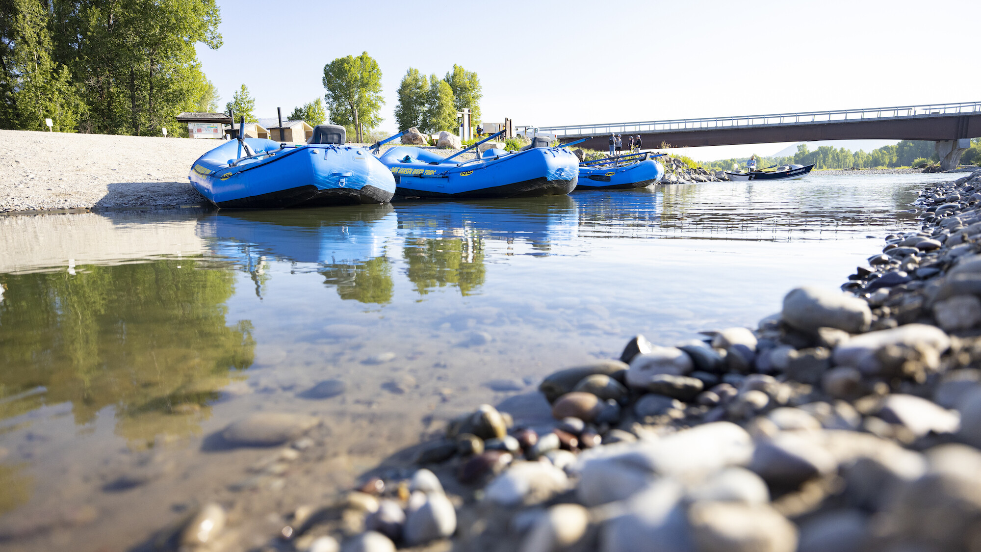 Three blue rafts sit on the shore of the Snake River next to the Wilson bridge.